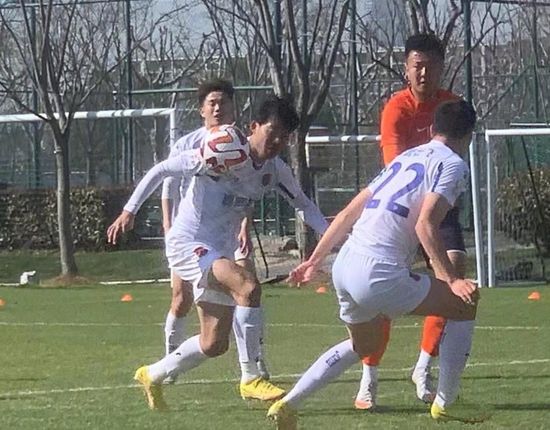 日韩成人免费一级毛片