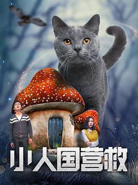 国内精品视频在线播放
