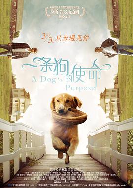 一个人看的www片免费高清中文