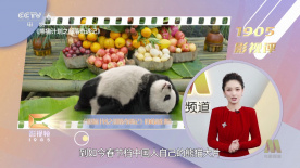 mag显示器